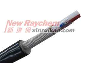 CEMS���ɘӏ�(f��)�Ϲ�